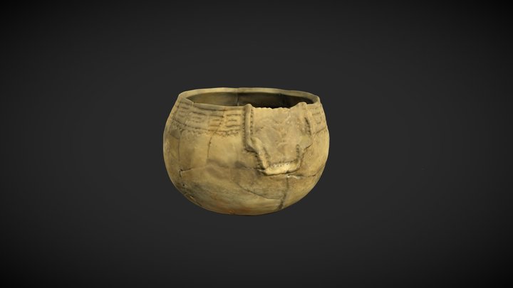 14 3D Model