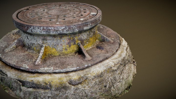 Photoscanned manholecover 3D Model