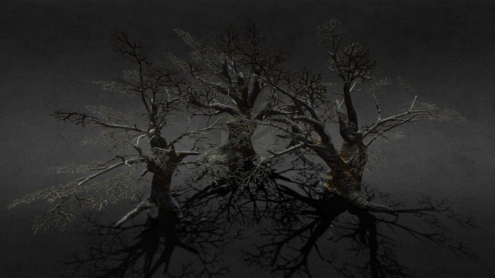 Gnarly trees – Gratis 3D-model STL
