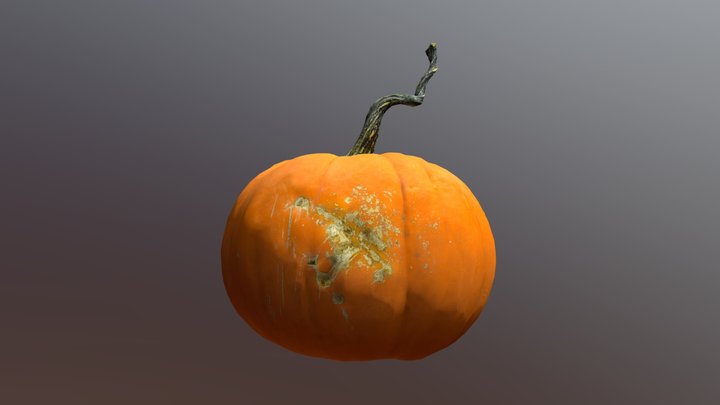 Ramsgate Ranch Long Stem Pumpkin 3D Model