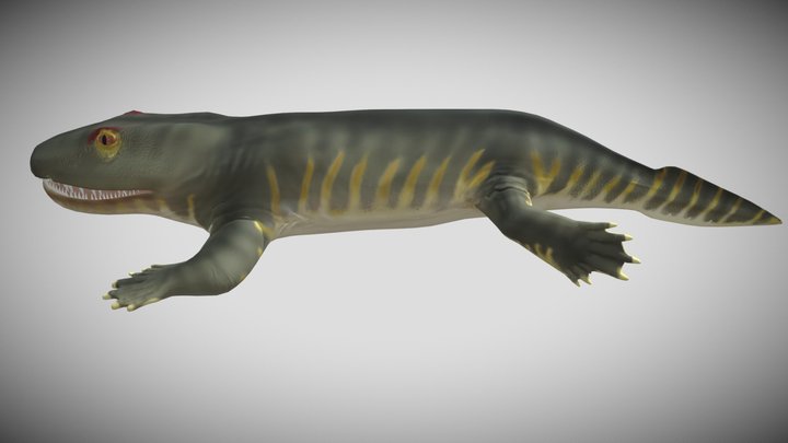 Ichthyostega 3D Model