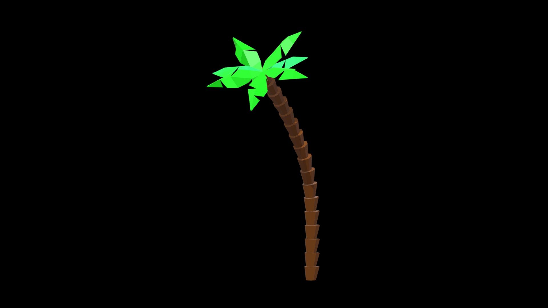 Palm Tree