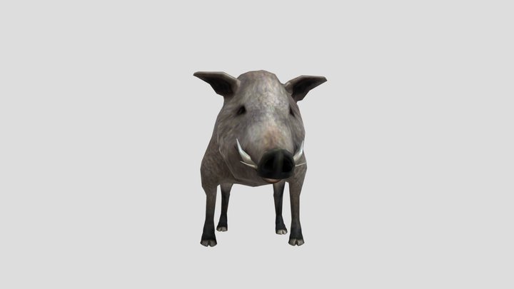 Boar 3D Model