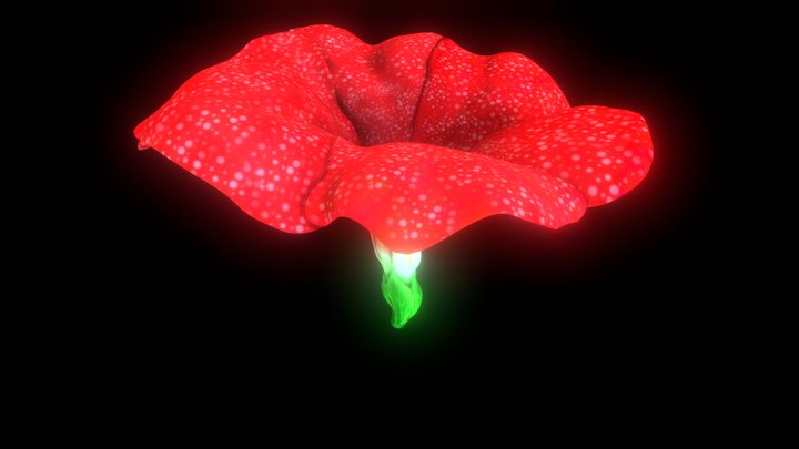 Flower 3D Model