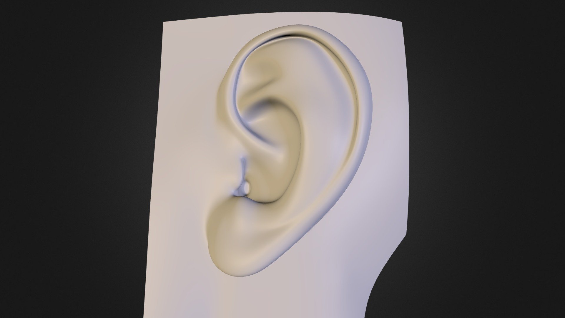 ear-ind1 - 3D model by chrisb [30e8f7a] - Sketchfab