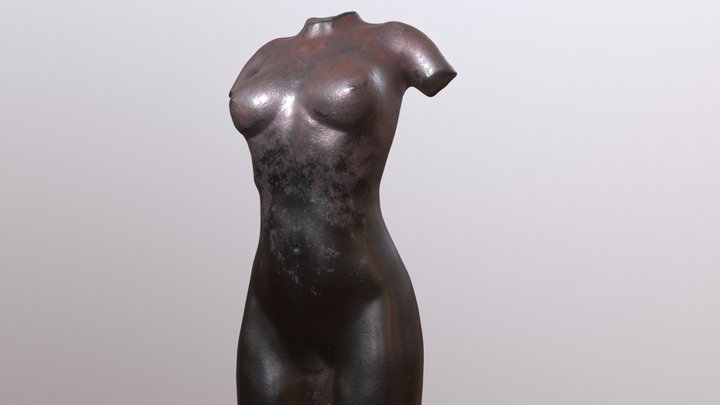 Torso Female #SculptJanury18 3D Model