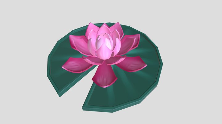 Lily pad and Lotus flower 3D Model