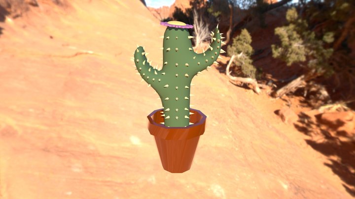Cactus 3D Model