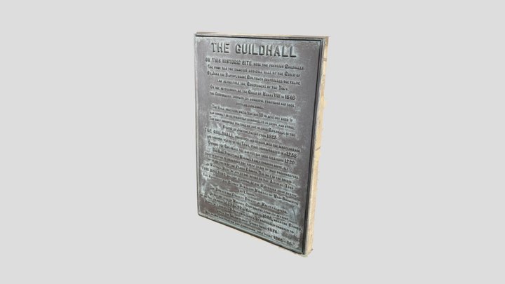 Plaque 3D Model