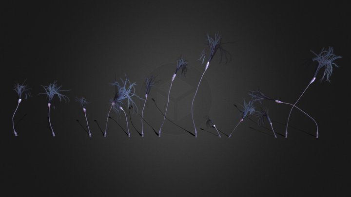 Frill Tendrils – Kostenloses 3D-Modell STL