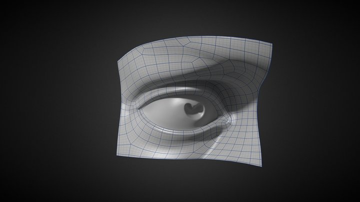 Michelangelo David's Eye  3D Model