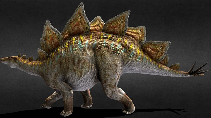 Stegosaurus 3D Model