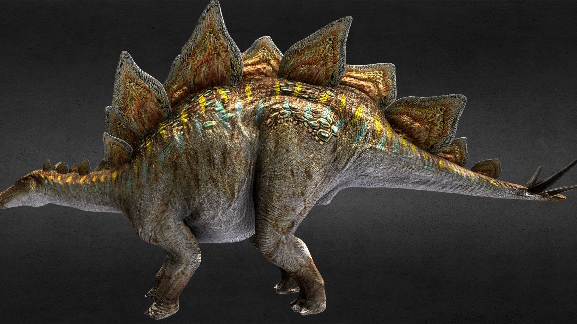 Стегозавр. Стегозавр 3d. Stegosaurus Rex группа. Стегозавры (инфраотряд). Tamiya Stegosaurus stenops.