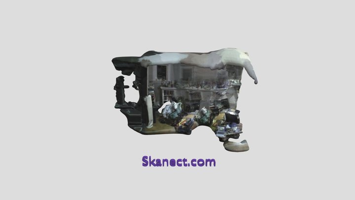 New Skanect Model 3D Model