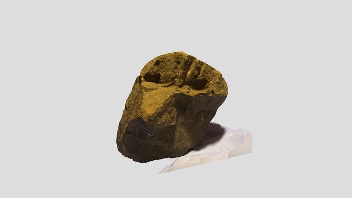 Chief Roman Nose Rock Art 3D Model