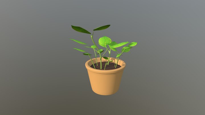 Emrich Potted Plant 3D Model