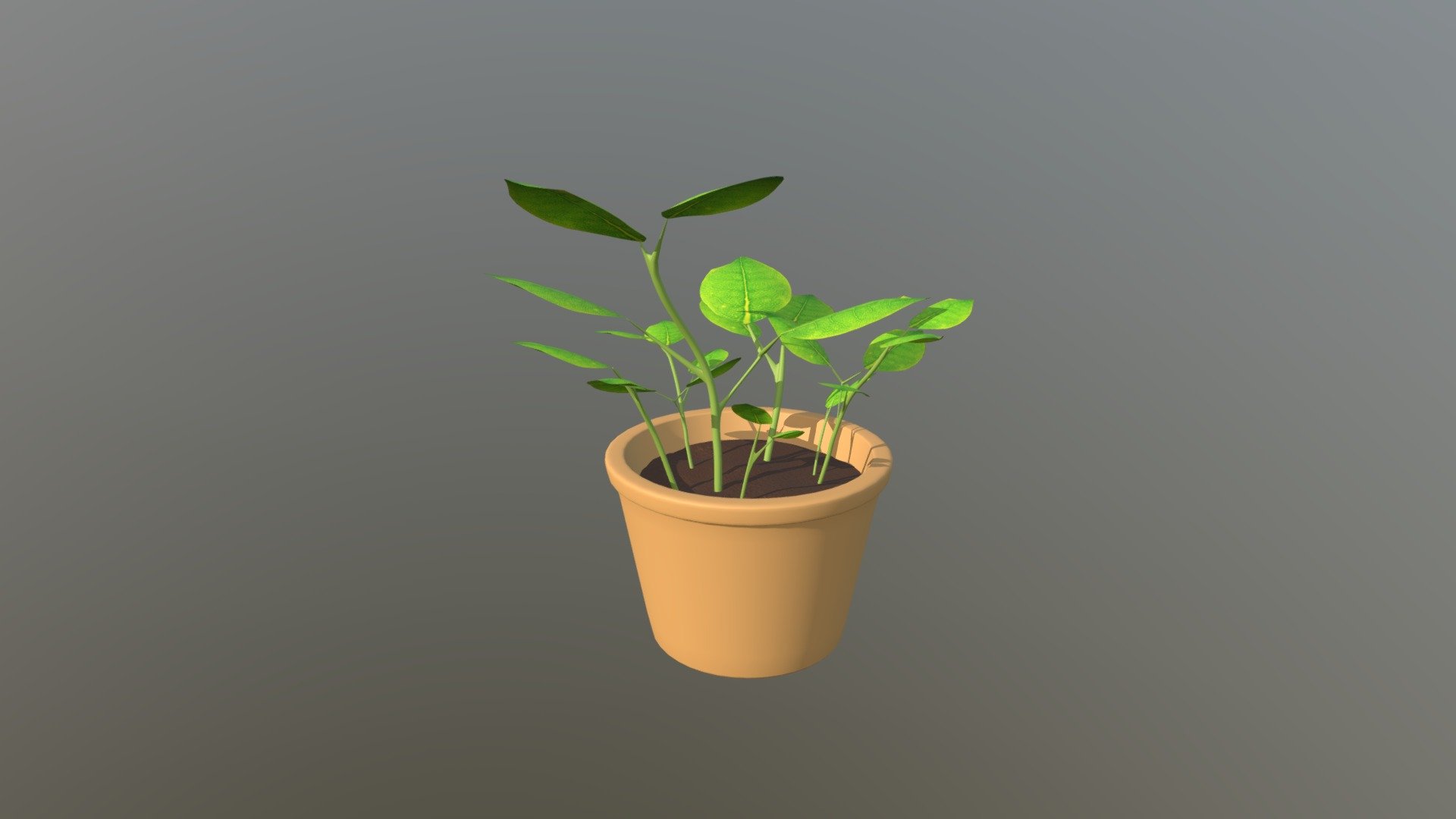 Emrich Potted Plant