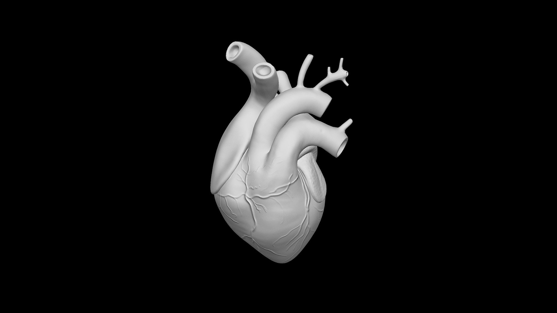 Human Heart Download Free 3D model by sahilseth [30f93d9] Sketchfab
