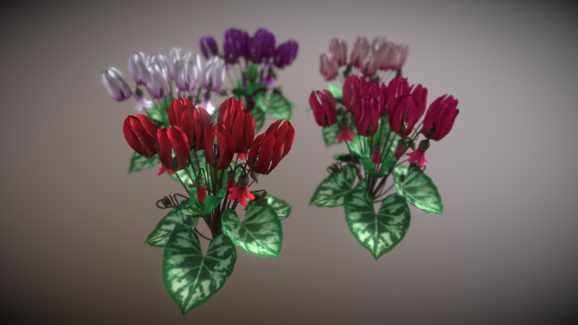 3D model Flower Cyclacmen - This is a 3D model of the Flower Cyclacmen. The 3D model is about a bouquet of flowers.