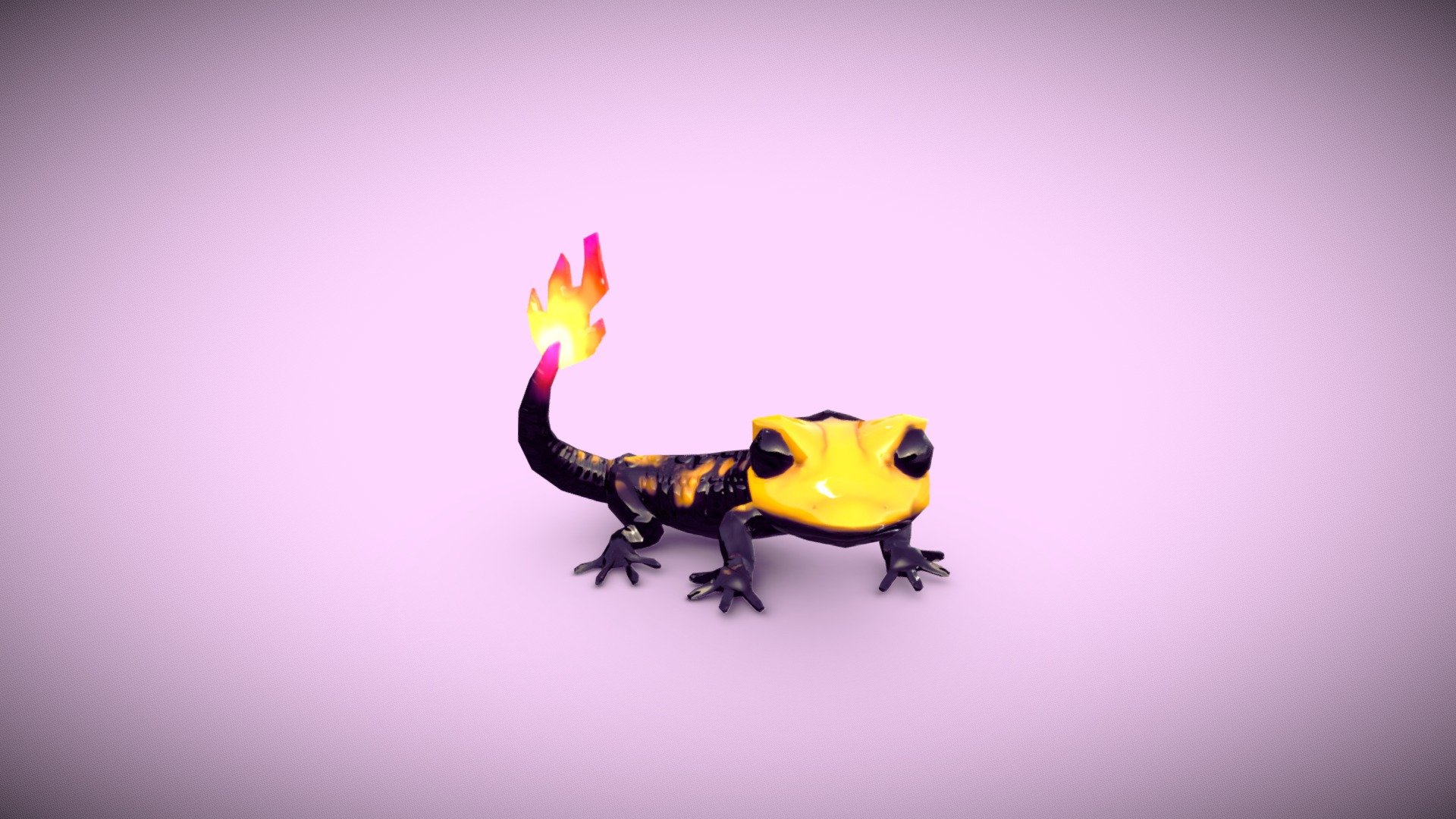 Tiny fire Salamander