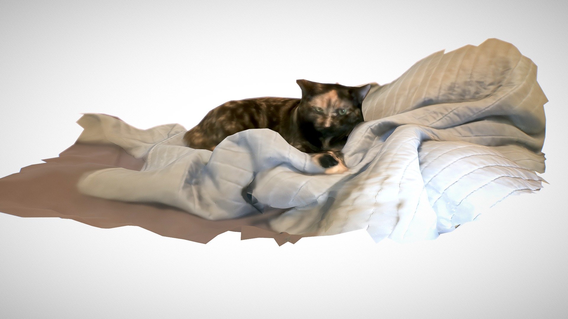 Photogrammetry Vignette: Cat on Blanket - Download Free 3D model by ...