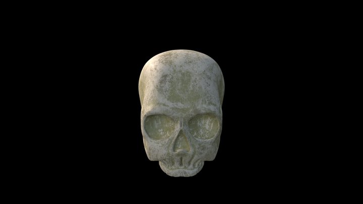 Skull 3D Model