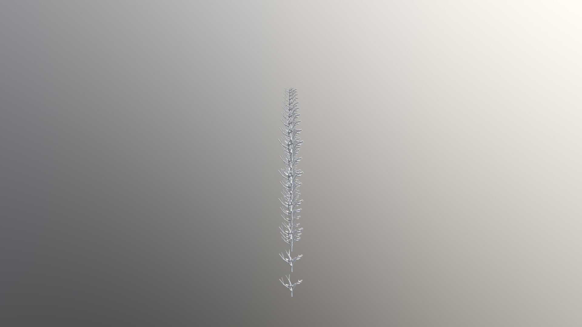 Algae standalone model