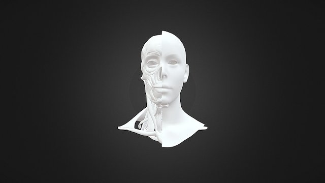 polycount Speedtest 3D Model