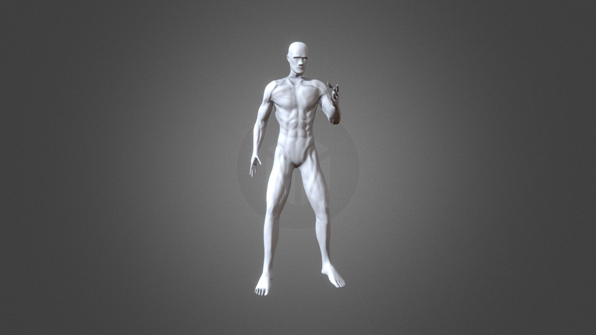 Anatomy Study