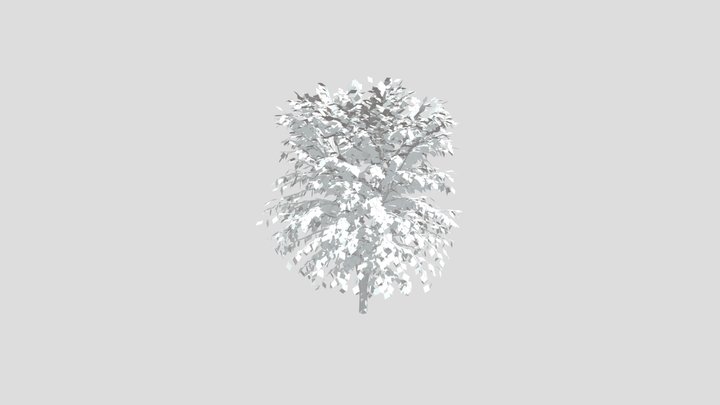 Albero 3D senza texture