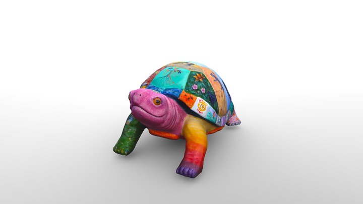 Pawling Painted Turtle 3D Model