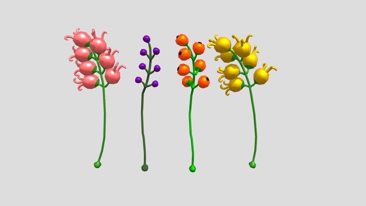 Berry 3D Model