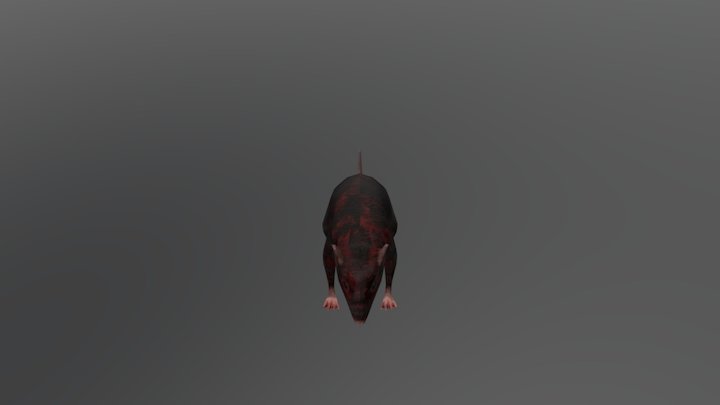 RN Rat 3D Model