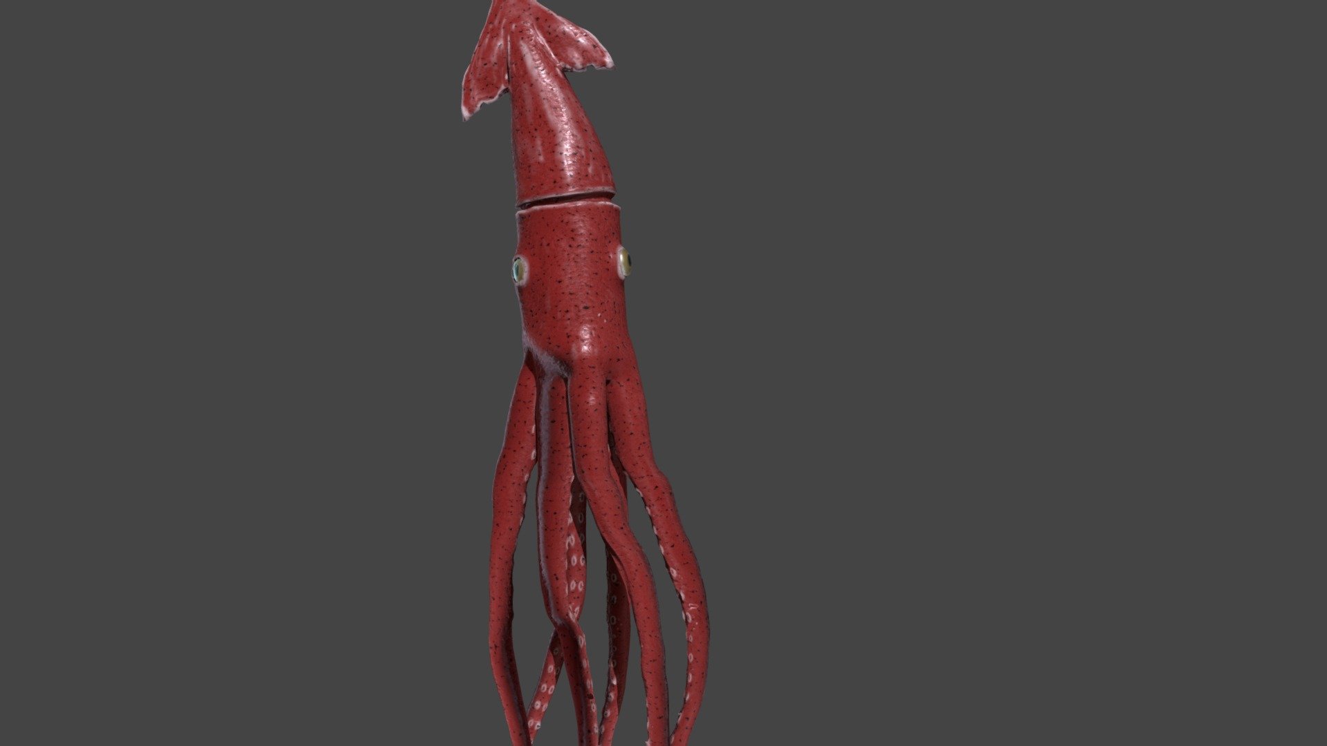 Squid Sketchfab - 3D model by Kristoffer Stranden (@intra32) [310f145 ...