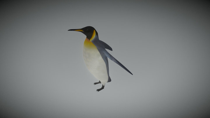 emperor penguin 3D Model