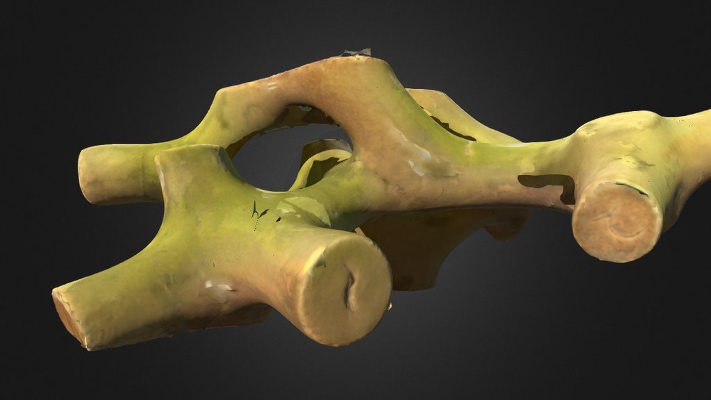 Scanned ceramic sculpture