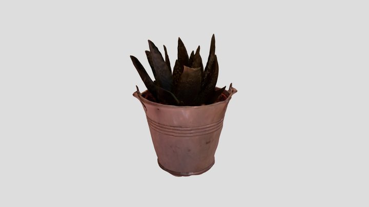 Plant 3D Model