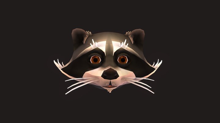 Raccoon Facial Rig 3D Model