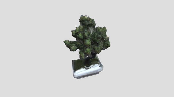 Tree 3D Model