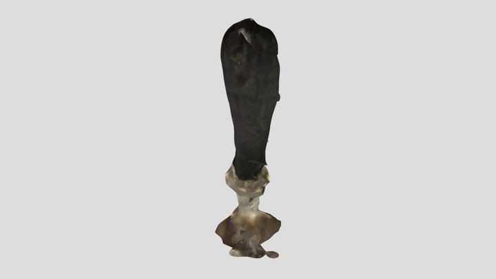Forearm Scaling 3D Model