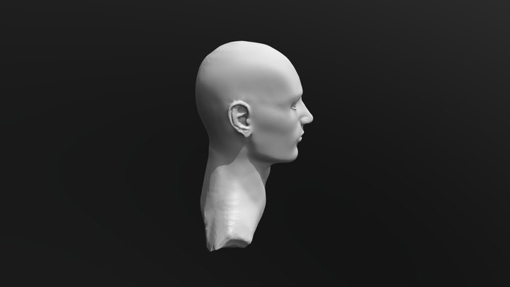 Male_Head_6 3D Model