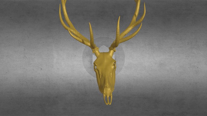 Agancs7 3D Model