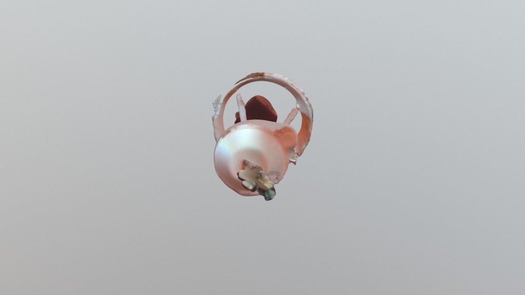 003ingerm