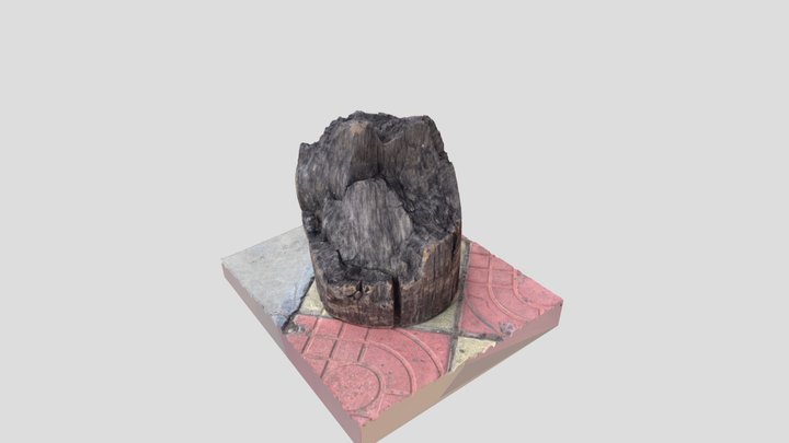 Laoshumu 3D Model