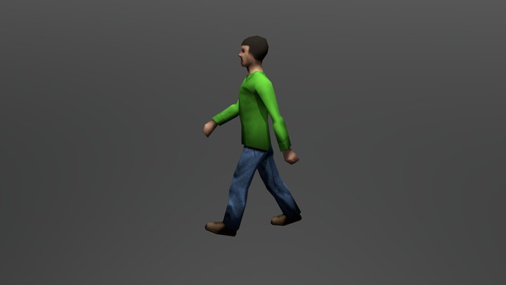 Human Walk 3D Model