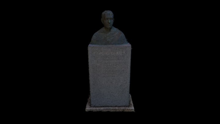 Busto 3D Model