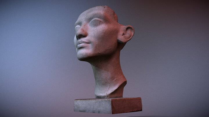 Scanned  crownless head of queen Nefertiti 3D Model