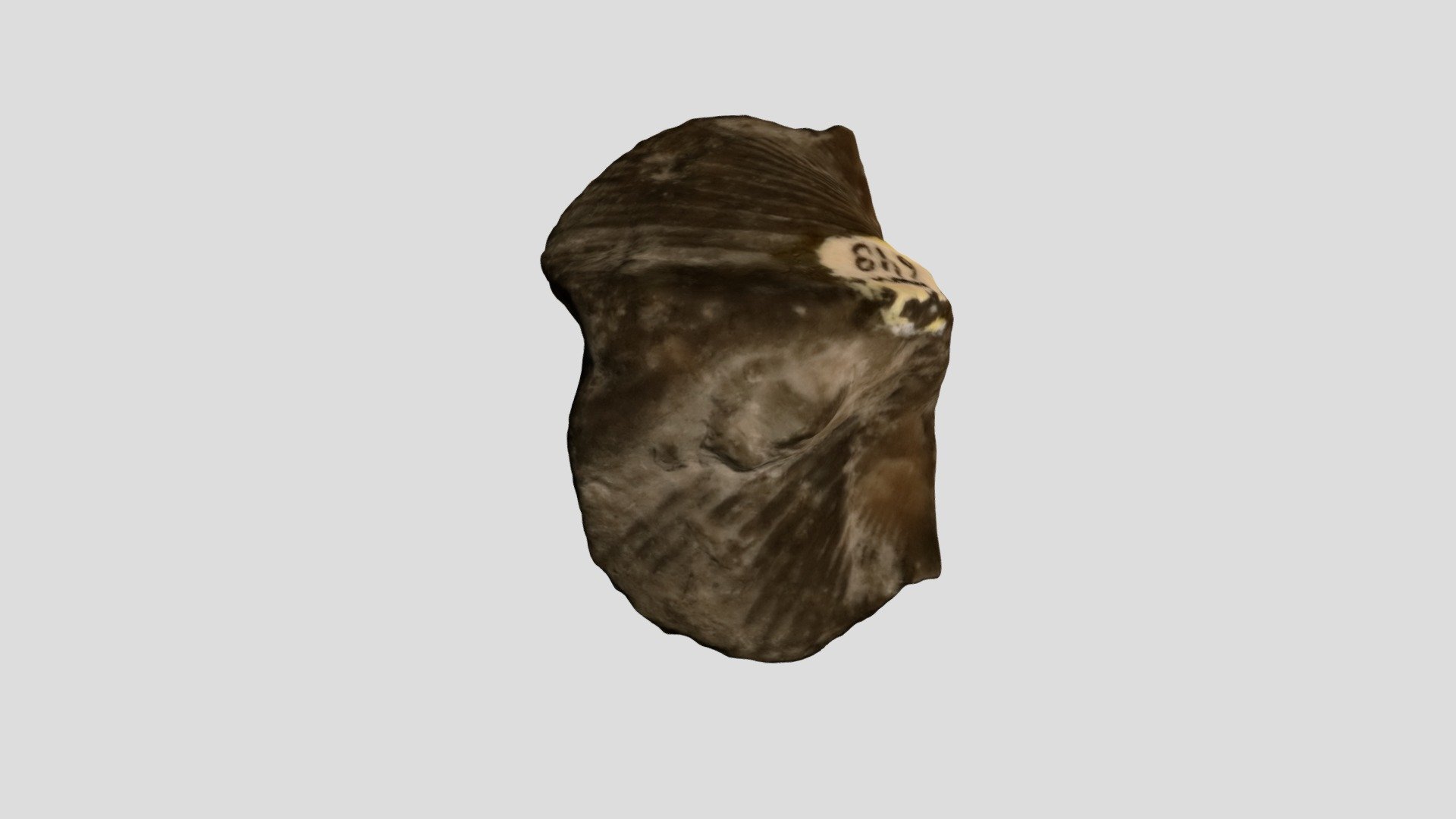 GEOL212 648
