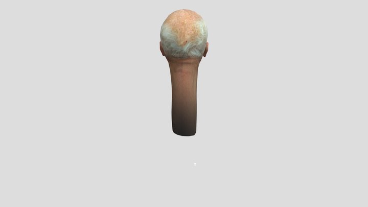 Fake Scientist toilet mech head 3D Model