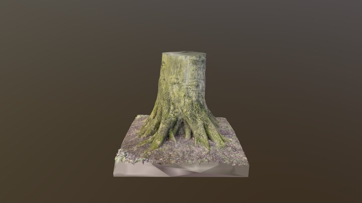 Tree - Hardwick Hall 3D Model
